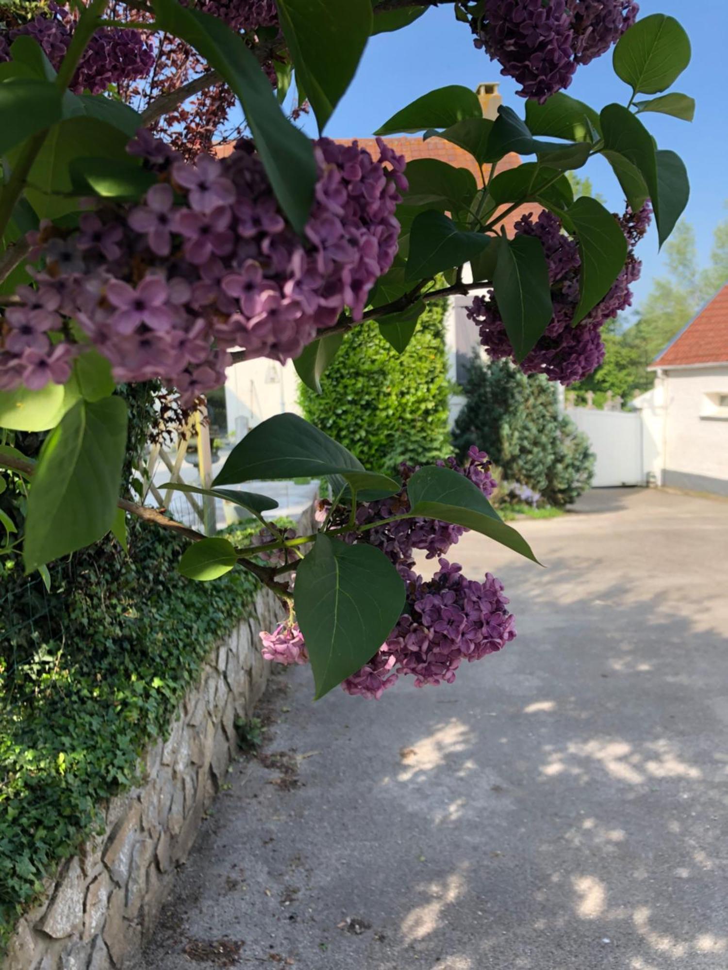 Le Clos De La Pommeraie Carly Buitenkant foto